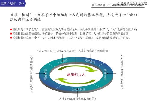 新組織設(shè)計(jì)下的CRSM模型與LWC咨詢(xún)服務(wù)模式 引領(lǐng)信息技術(shù)咨詢(xún)服務(wù)新范式